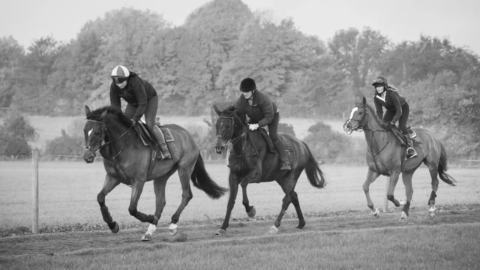 Equestrian