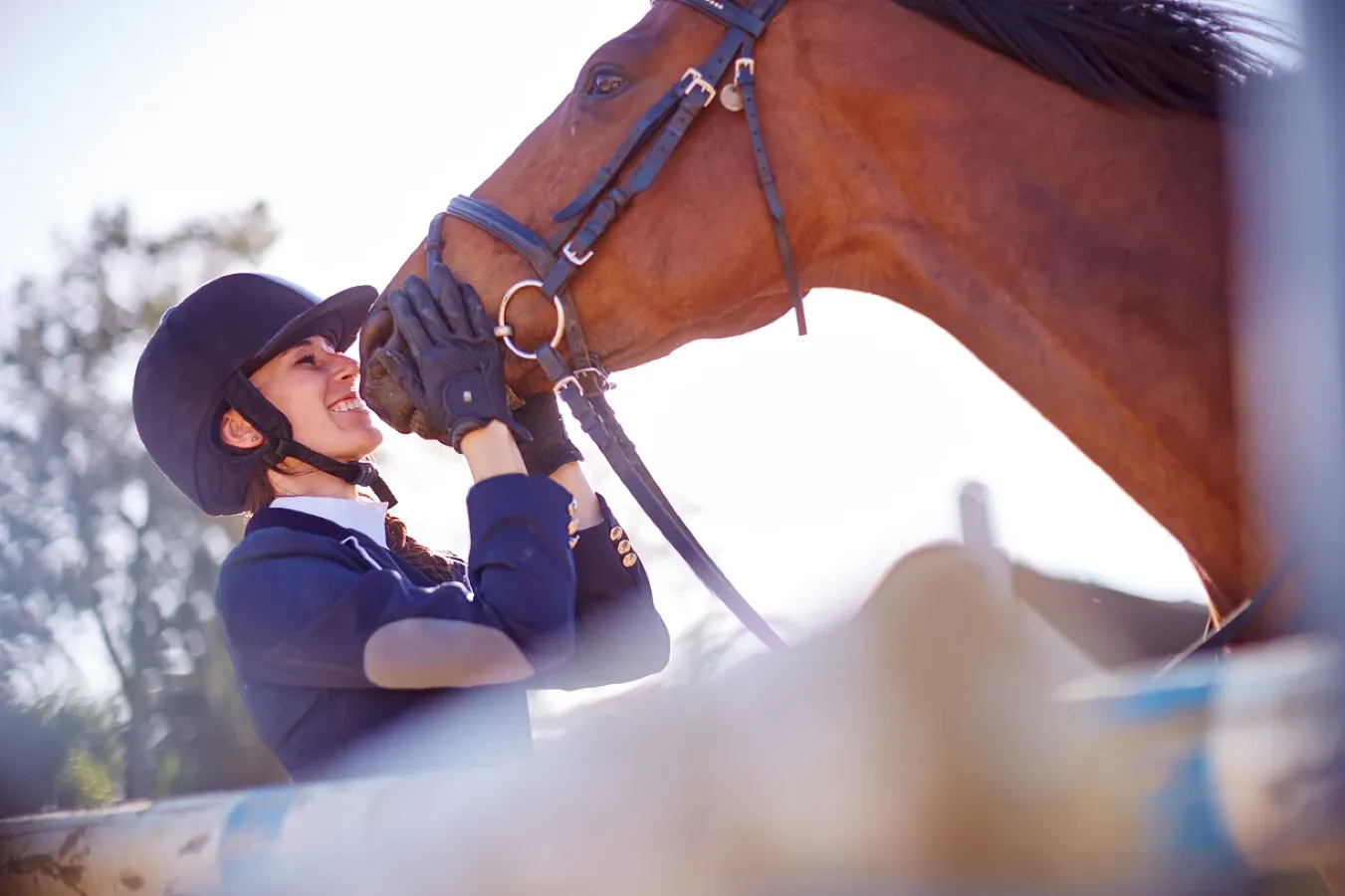 Building Your Equestrian/Equine Career
