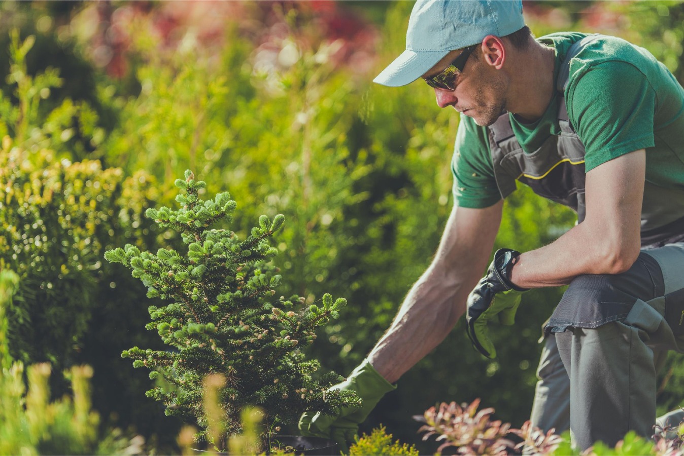 Hiring a Gardener: What You Need to Know