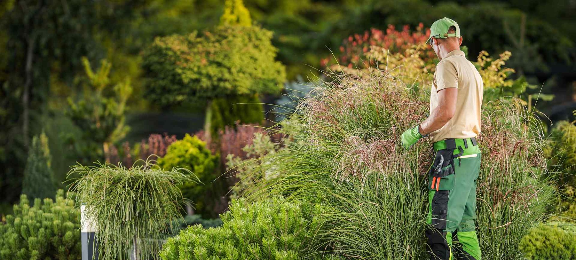 Gardener