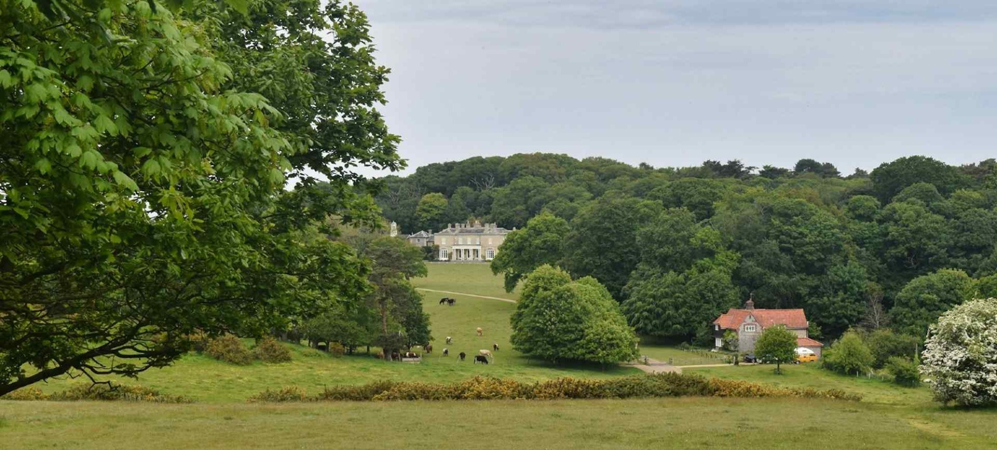 Estate Manager